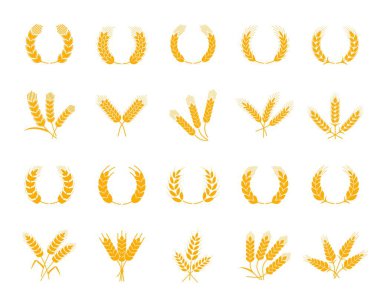 Buğday, çavdar ve arpa, mısır gevreği kulaklı defne çelengi, vektör fırın ikonları. Organik müsli veya hamur işi için ekmek ürünleri ve mısır gevreği kulağı, buğday, çavdar veya arpa sembolleri.