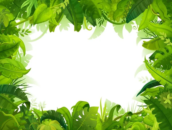 Cornice Giungla Cartone Animato Sfondo Foglie Palma Verde Foresta Estiva — Vettoriale Stock