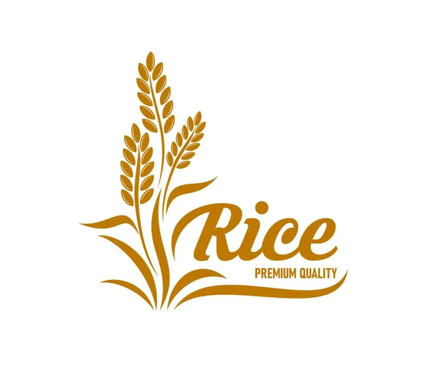 Ikona Ryżu Roślinami Zbożowymi Ziarnami Wektorami Żywności Uprawami Rolnymi Odizolowany — Wektor stockowy