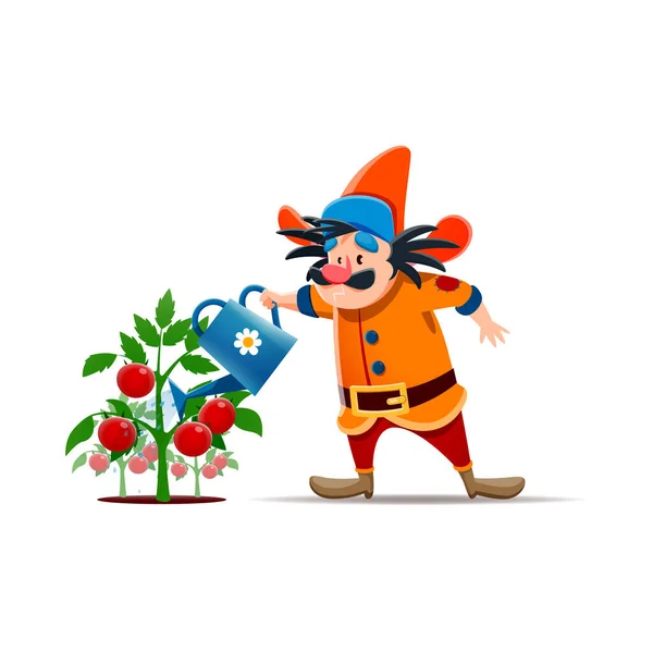 Cartoon Gnome Dwarf Farmer Character Watering Can Fairytale Dwarf Midget — Stock Vector