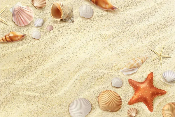 現実的な砂浜 トップシールと海辺のヒトデ 夏休みの海の海岸現実的な背景 休暇や海の海岸観光や休暇のビーチ3Dベクトルの背景と貝や貝 — ストックベクタ