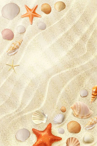 Praia Areia Realista Vista Superior Conchas Estrelas Mar Verão Férias —  Vetores de Stock