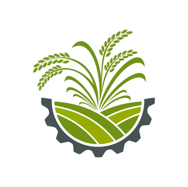 Icona Dell Agricoltura Spighe Frumento Segale Spuntoni Cereali Sul Campo — Vettoriale Stock