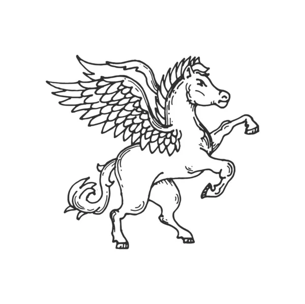 ベクトル翼の馬のペガサス中世の紋章動物のスケッチ 古代王国の王室の紋章 腕のコート 手のひらの記章または紋章要素羽の翼を持つ空飛ぶペガサスの馬を描いた — ストックベクタ