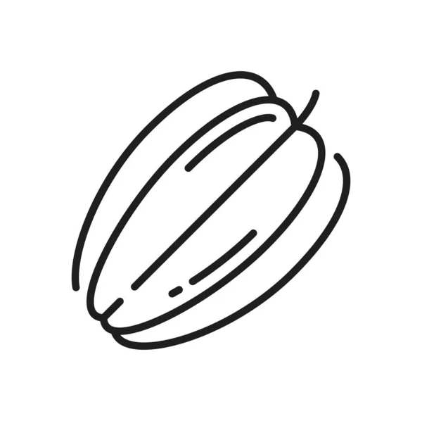 Carambola Isolated Cut Star Shape Fruit Line Icon Vector Starfruit — Stock Vector