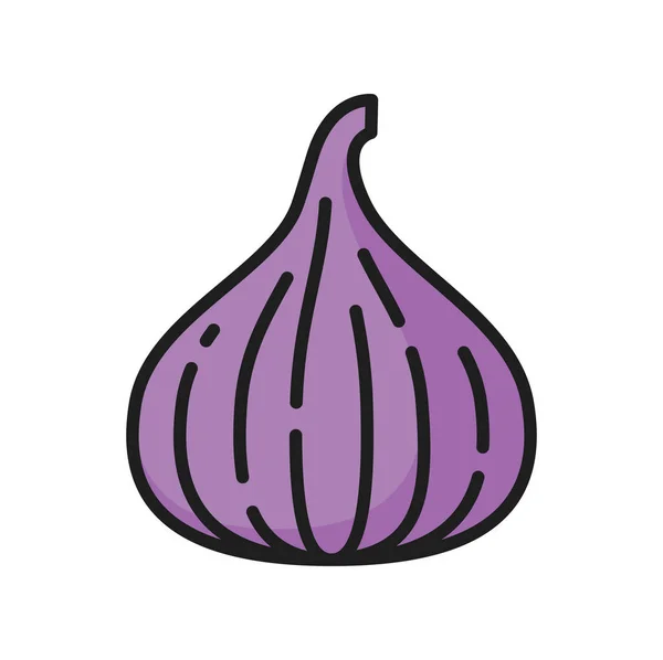 Higo Púrpura Fruta Entera Aislado Comida Exótica Bayas Color Línea — Vector de stock