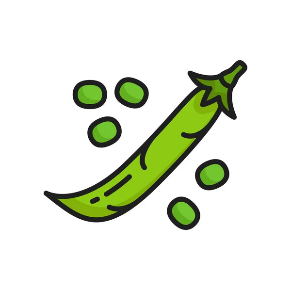 エンドウ豆または腎臓豆のマメ科植物の緑のポッドは 生のベジタリアンフードカラーラインアイコンを隔離しました ベクトルスーパーフード植物 閉じたポッドの一般的な腎臓豆 — ストックベクタ