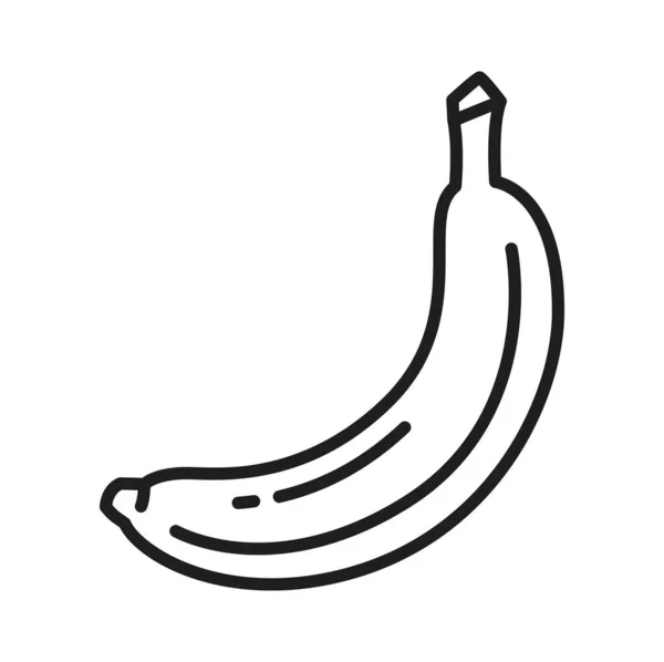 Érett Banán Héj Izolált Vékony Vonal Ikon Vektor Lédús Táplálkozás — Stock Vector