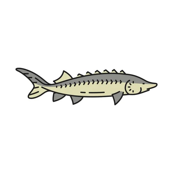 Значок Контура Осетровых Рыб Рыбной Промышленности Еда Гурманов Морепродуктов Мясо — стоковый вектор
