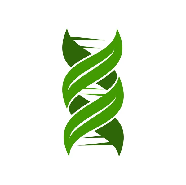 叶片Dna图标 植物标志与绿色基因螺旋 载体自然 生物技术研究 医学和生物学 植物遗传学标志的生物Dna链 绿色细胞染色体螺旋与叶子 — 图库矢量图片