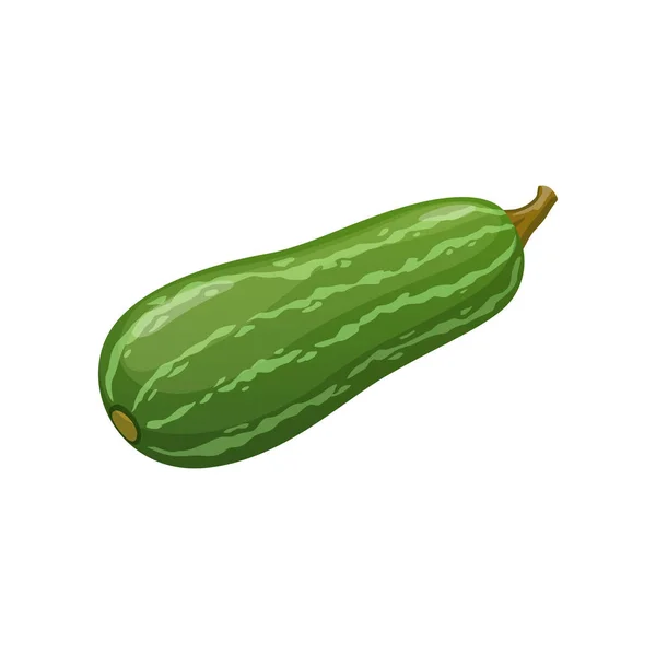 Karikatura Syrové Cukety Squash Zeleninové Jídlo Farmářské Vegetariánské Vektorové Ikony — Stockový vektor