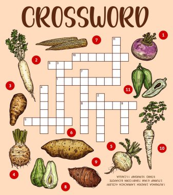 Çiğ sebze çizimleri. Çapraz bulmaca çalışma kağıdı. Kelime sınavı, mısır, turp ve arakya, şalgam, kaigua ve siklanthera, kereviz, chayote, yer elması ve taro, turp, yaban havucu,