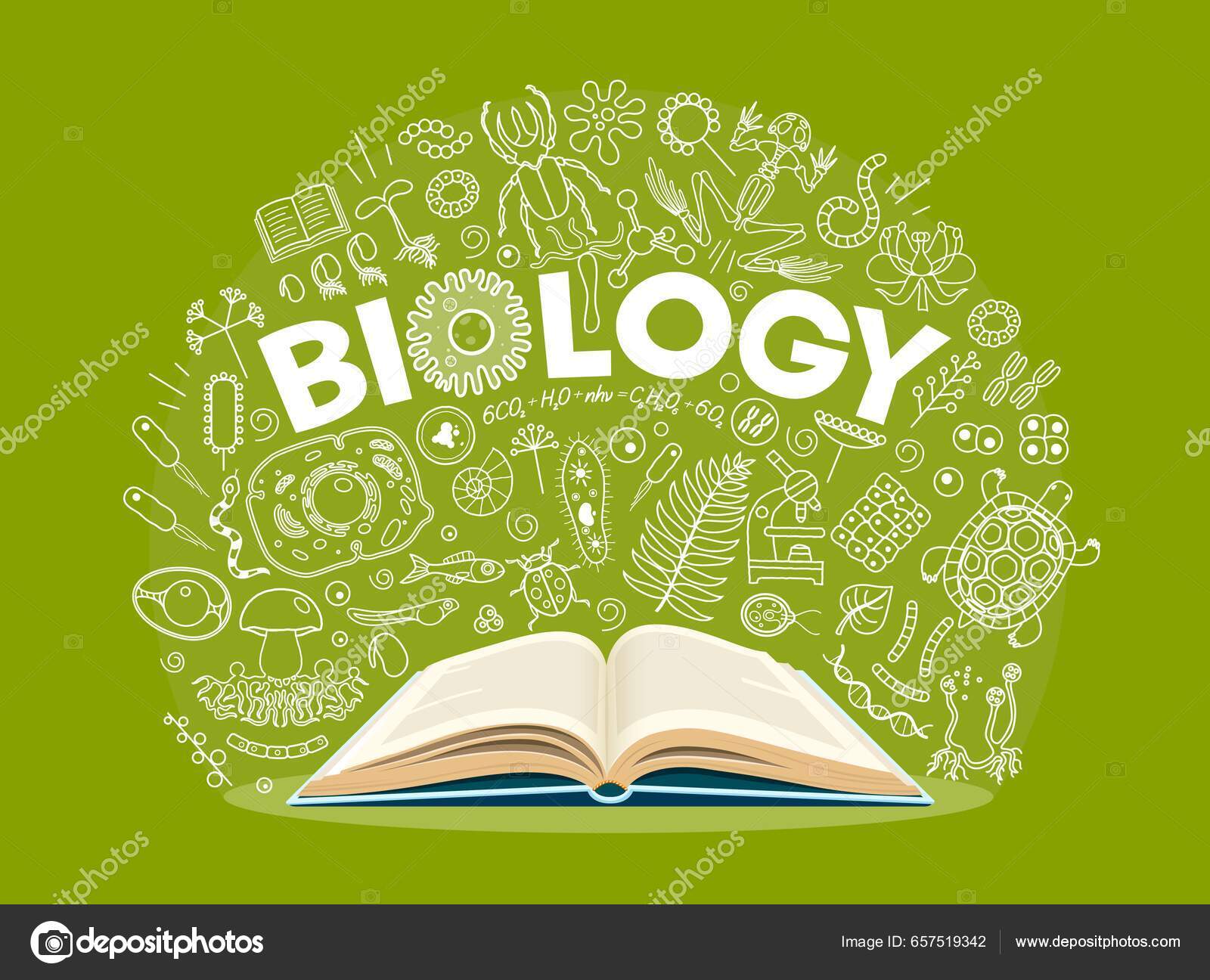 Outline doodle open book. A symbol of learning, education