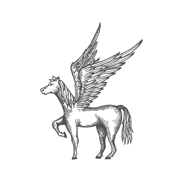 翼を持つギリシャのペガサス 強力な神話の動物のスケッチアイコン 自由のベクトル神秘的な男性のシンボル 神話の雄大な馬 — ストックベクタ