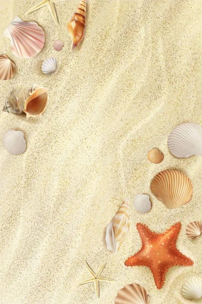 現実的なビーチの海辺 砂の上の貝殻やヒトデの上からの眺め ベクトル夏の背景 熱帯性自然 ビーチトップビューで現実的な貝殻やヒトデと海のビーチの海辺 — ストックベクタ