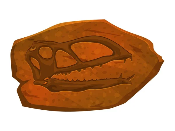 Отпечаток Ископаемого Черепа Динозавра Камне Доисторический Отпечаток Костей Черепа Животного — стоковый вектор