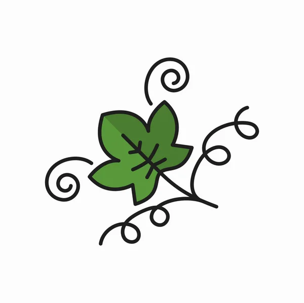 Green Grape Leaf Stem Leaves Swirls Outline Icon Vector Line — Stock Vector