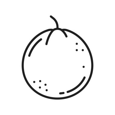 Kayısı, şeftali ya da erik ince çizgi ikonu. Yaz meyveli vejetaryen organik yiyecekler, beslenme vitaminleri atıştırmalıkları. Şeftalili, egzotik tatlı.