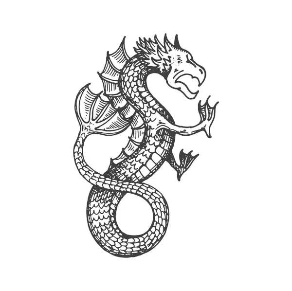 中世纪龙的纹章动物怪物草图 神奇的动物 传说中的野兽或幻想中的生物古代纹章手绘矢量符号 神秘的海龙怪物皇家纹章纹章符号 — 图库矢量图片