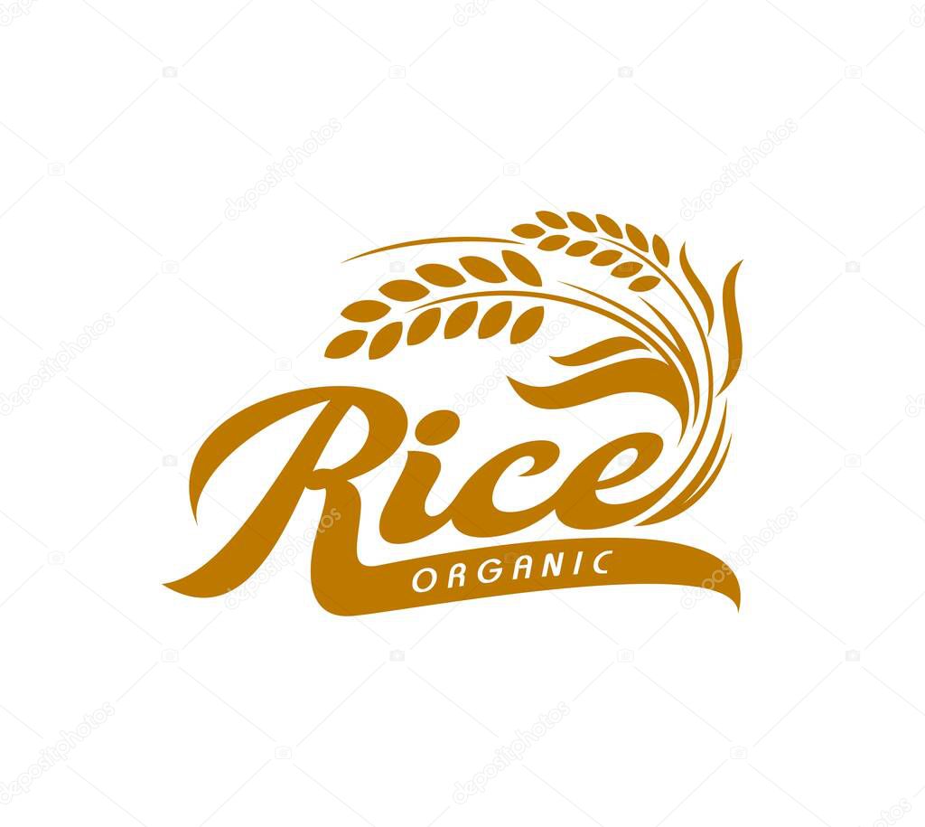 Rice icon, organic farm cereal food symbol. Agriculture company, grocery store or market vector sign or healthy food company icon. Rice farm emblem with cereal plant ear and leaves