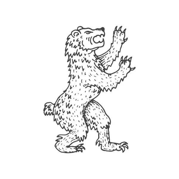 Bear Medieval Heraldic Animal Sketch Forest Animal Mythology Creature Roaring — Stock Vector