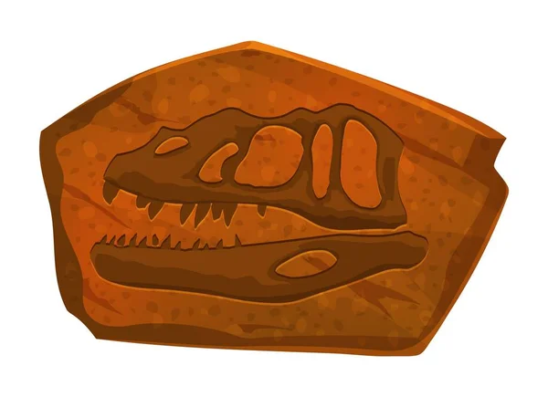 プレタポルテ恐竜の化石の頭部の石版 先史時代の動物体片化石 ジュラ紀の爬虫類または恐竜の頭蓋骨の骨古生物学博物館岩や絶滅したトカゲの骨格ベクトルのインプリント — ストックベクタ