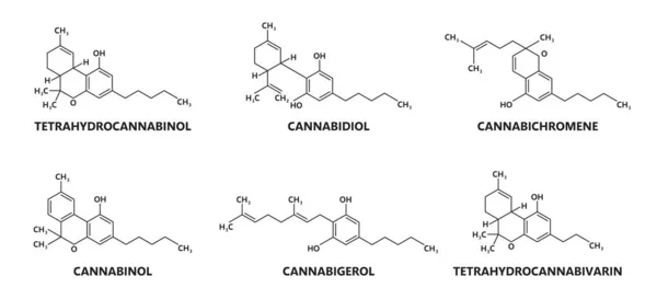 Cannabinoid Molecule Structure Cannabinoid Compound Vector Formula Psychoactive Tetrahydrocannabinol Canabidiol — Stock Vector