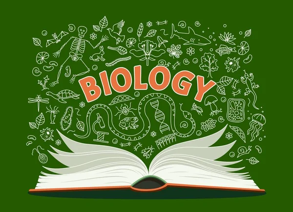 Libro Testo Biologia Libro Scuola Anatomia Simboli Scarabocchi Sulla Lavagna — Vettoriale Stock