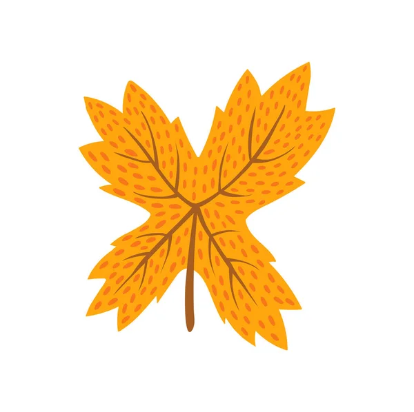 Letter Autumn Thanksgiving Day Abc Font Type Shape Acorn Leaf — Stock Vector