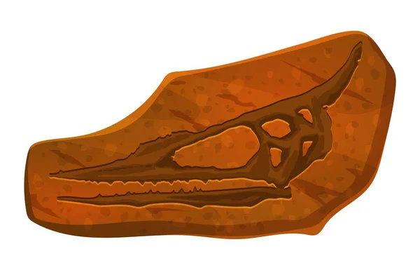 Flying Dinosaur Skull Fossil Imprint Stone Prehistoric Animal Skeleton Section — Stock Vector