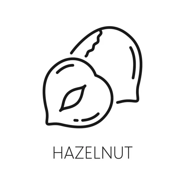 Hazelnut Hard Shell Isolated Outline Icon Vector Hazel Nut Vegetarian — Stock Vector