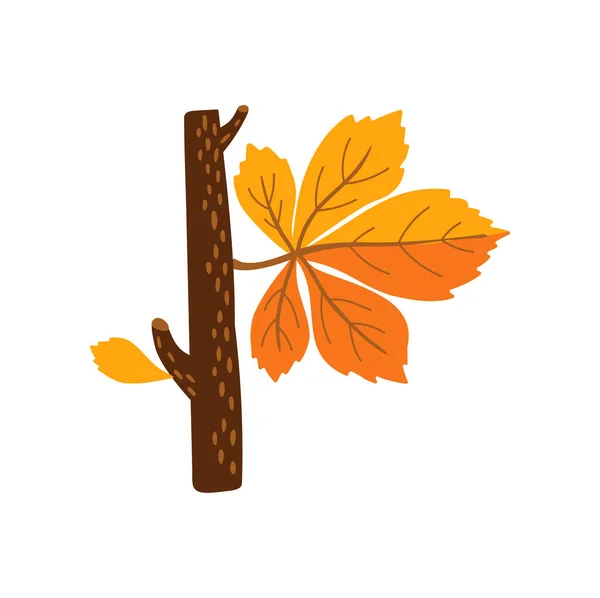 Buchstabe Des Herbstalphabets Form Von Ast Und Blatt Lustiges Englisches — Stockvektor