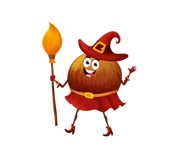 Cartoon Halloween Witch Hazelnut Character Isolated Vector Funny Nut Fantasy — Stock Vector