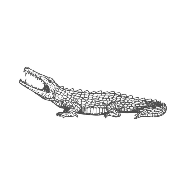 Krokodil Antika Aztekiska Djur Isolerad Alligator Skissa Reptil Ikon Vektor — Stock vektor