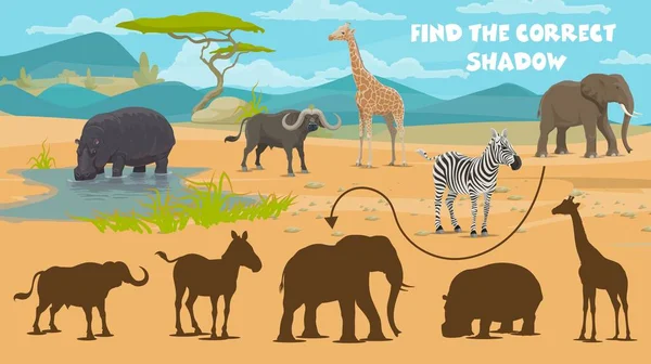 Znajdź Prawidłowy Cień Afrykańskich Zwierząt Sawanny Wektor Dzieci Quiz Znajdź — Wektor stockowy