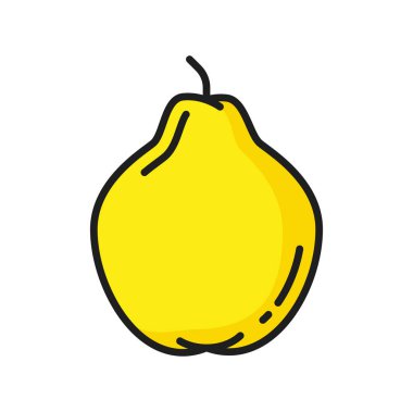 Sarı guava veya armut izole renk çizgisi simgesi. Vektör egzotik yemek tatlısı, tropikal meyve. Limonlu guava, sağlıklı yaz atıştırmalığı. Olgun bahçe ya da orman armudu