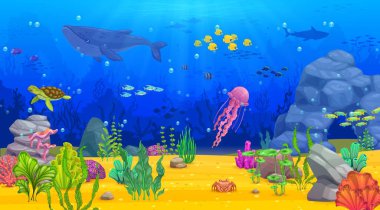 Cartoon underwater landscape with whale, fish shoal, seaweeds and turtle, vector background. Sea underwater and undersea world of coral reef landscape with jellyfish, shark, tropical fishes and shells clipart
