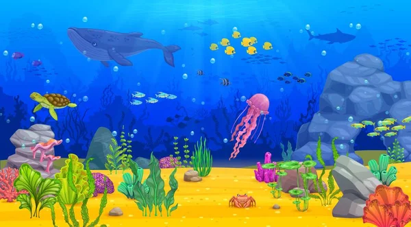 Kreskówkowy Podwodny Krajobraz Wielorybem Ławicą Ryb Wodorostami Morskimi Żółwiem Tło — Wektor stockowy