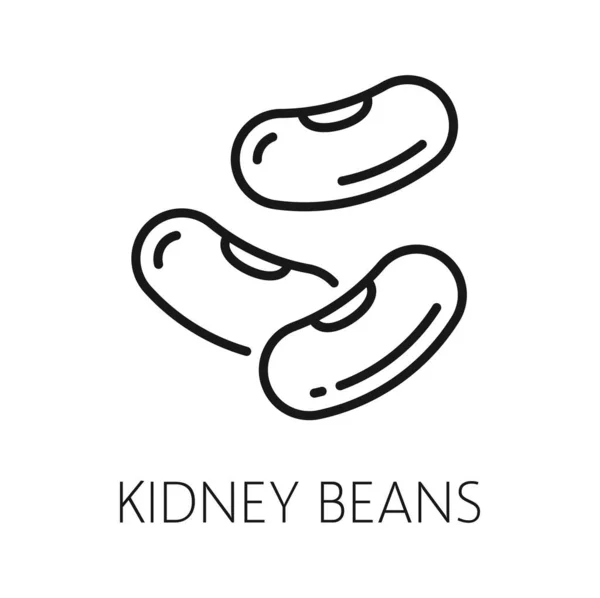 Kidney Beans Pea Pods Vegetables Legumes Isolated Outline Icon Vector — Stock Vector