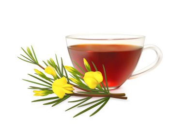 Rooibos tea cup and redbush plant. Natural herbal red tea, asian hot drink 3d realistic vector transparent glass cup, isolated rooibos plant branch with leaves and yellow flowers clipart