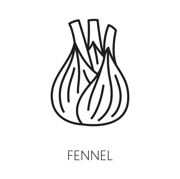 Fresh Fennel Bulb Isolated Food Seasoning Icon Vector Aromatic Seasoning — Stock Vector