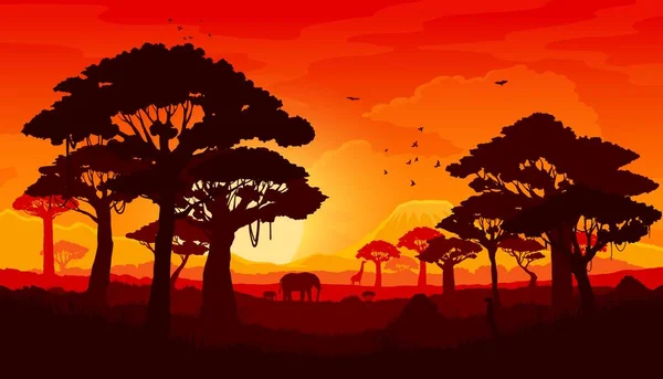African savannah sunset landscape, scenery silhouette background, cartoon vector. Africa nature, safari savanna landscape with wild animals, elephant and giraffe on Kilimanjaro sunset panorama
