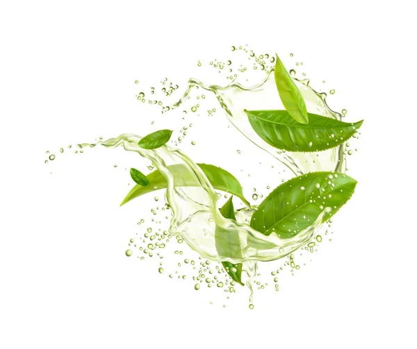 Grönt Blad Med Dryck Stänk Droppar Örtvattenvåg Vektoruppfriskande Och Uppfriskande — Stock vektor