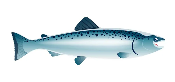 卡通鲑鱼海生动物 体形光滑 色彩艳丽 在每年的迁徙过程中能够在强大的水流中游泳 孤立的病媒野生动物侧视图 — 图库矢量图片