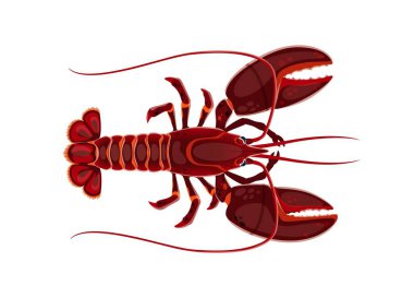 Karikatür deniz ıstakozu hayvanı. Sert bir dış iskeleti, uzun bir anteni ve büyük kıskaçları olan izole vektör deniz kabukluları genellikle kıyı sularında bulunur. Vahşi yaşam yaratığı, lezzetli etli deniz ürünleri.