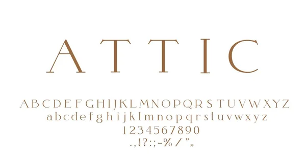 Fonte Élégante Chic Type Vintage Caractère Haut Gamme Luxe Alphabet — Image vectorielle