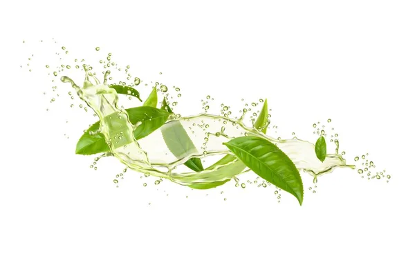 Bebida Chá Verde Espirra Com Folhas Gotas Vetor Isolado Ervas — Vetor de Stock