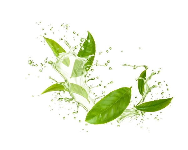 Green Tea Leaves Wave Splash Drops Isolated Vector Herbal Drink — Stock Vector