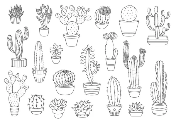 Schets Cactusvetplanten Vectorwoestijnplanten Dunne Lijncactussen Bloempotten Mexicaanse Agave Opuntia Stekelige — Stockvector