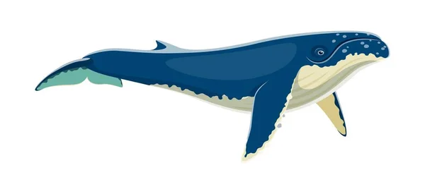 Humpbacka Velrybího Zvířecího Charakteru Izolovaný Kreslený Vektor Obrovský Mořský Savec — Stockový vektor